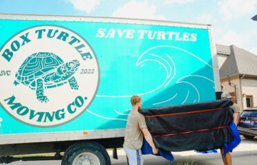 Box Turtle Moving Co.