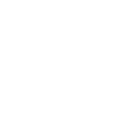 Mastodon Moving LLC