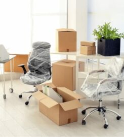 Move and Improve – Newton Movers