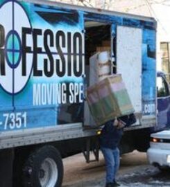 The Professionals Moving Specialists