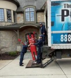 The Professionals Moving Specialists