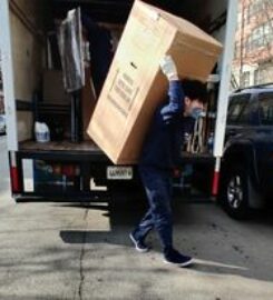 The Professionals Moving Specialists