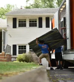 Vector Movers NJ