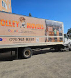 Wolley Movers Chicago