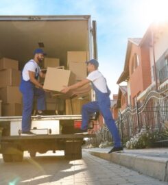 Wolley Movers Chicago